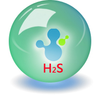 硫化氢标准气（H2S）